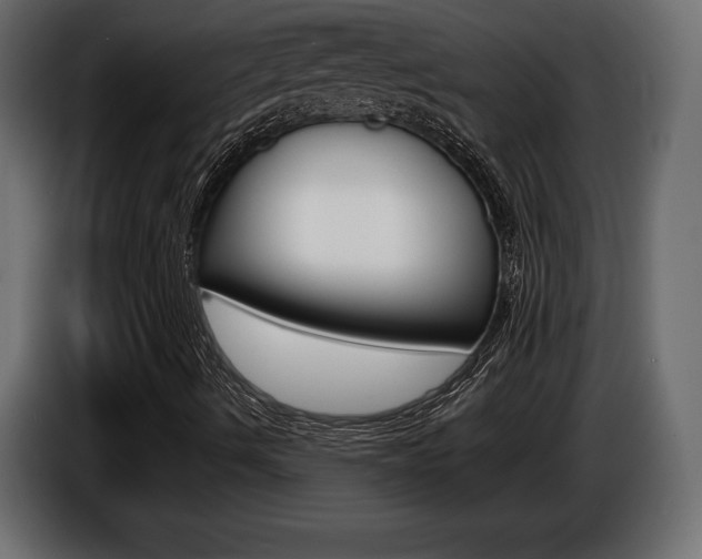 X0000086961490200704161112
