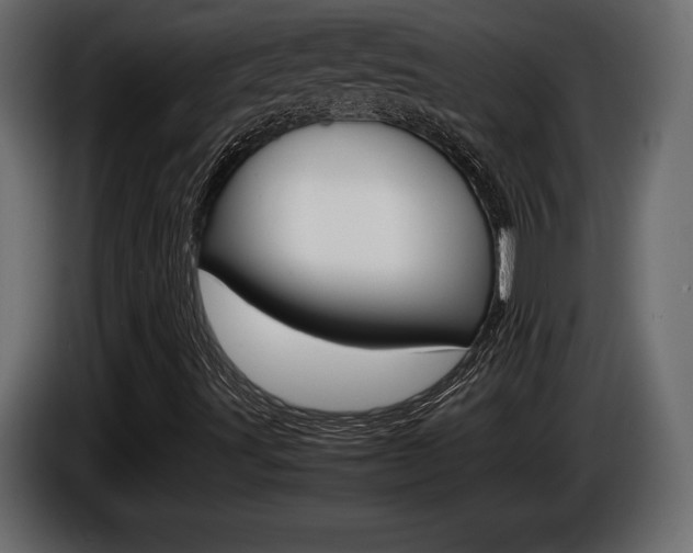 X0000086961491200704161112