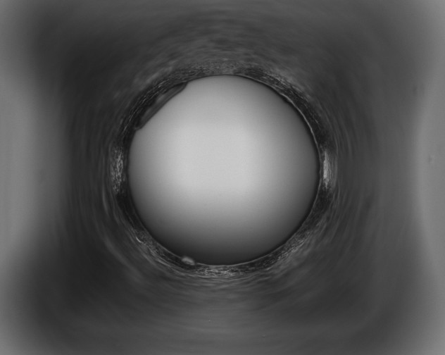 X0000086961492200704161112