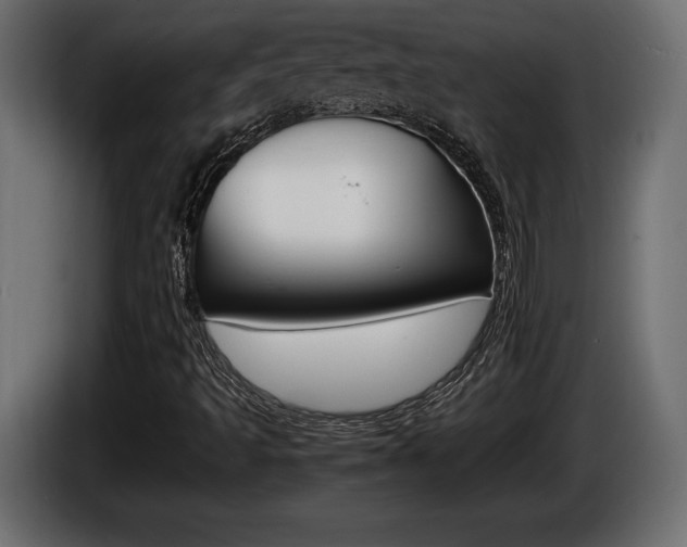 X0000086961493200704161112