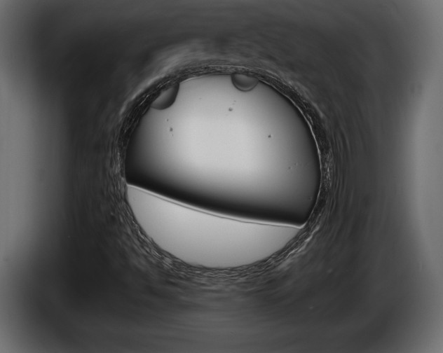 X0000086961494200704161112