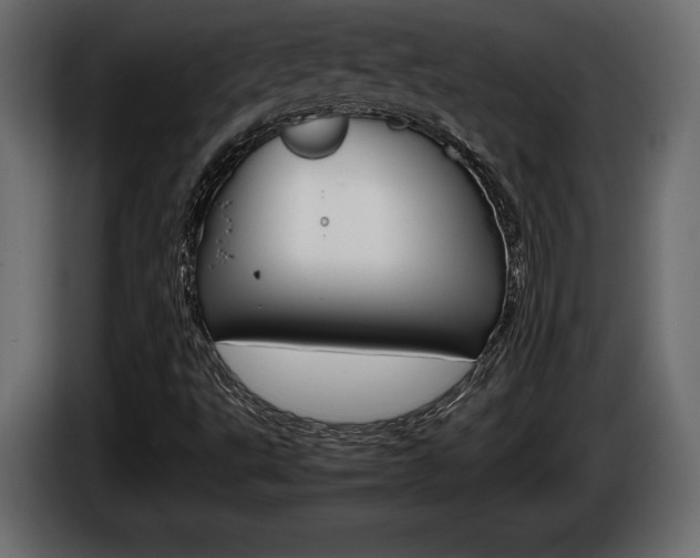 X0000086961495200704161112