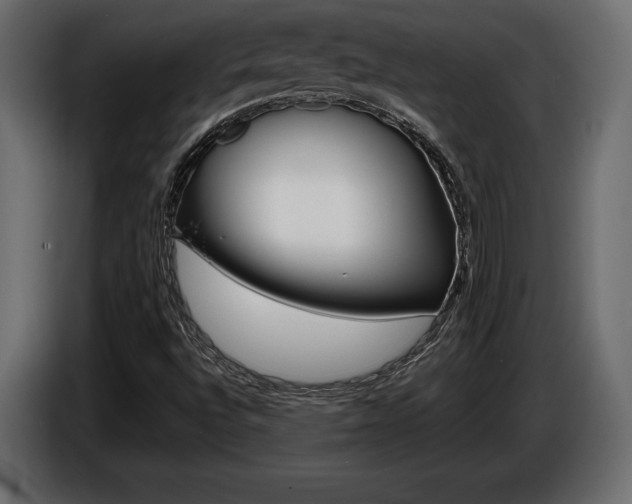 X0000086961496200704161112