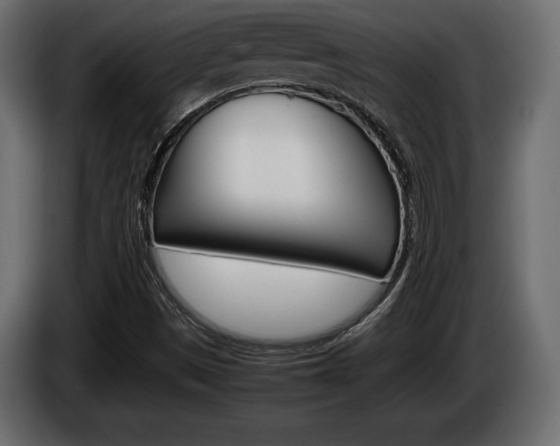 X0000086961497200704161112