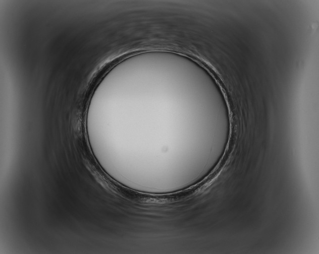 X0000086961499200704161112