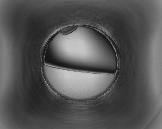 X0000086961500200704161112