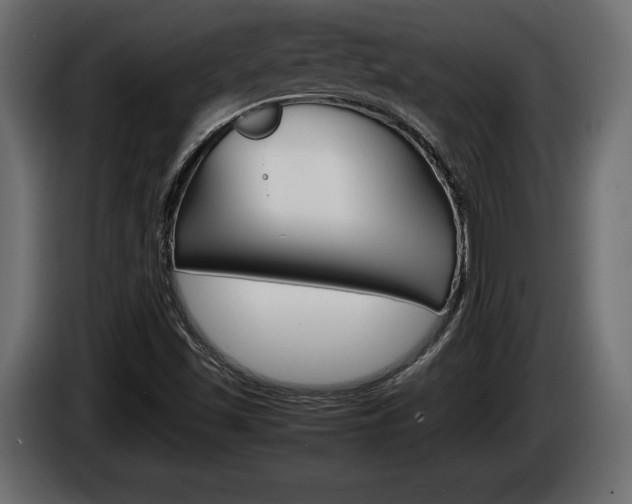X0000086961501200704161112