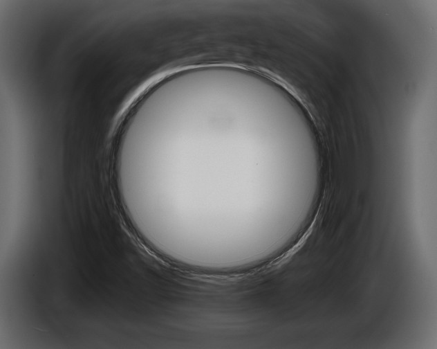 X0000086961502200704161112