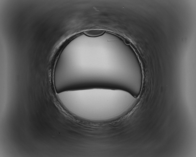 X0000086961503200704161112