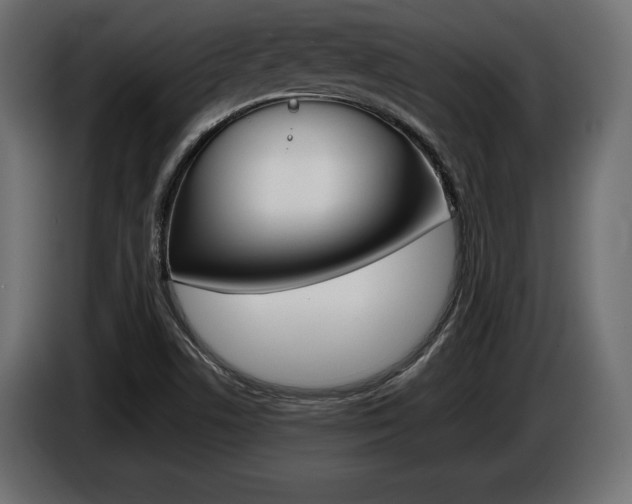 X0000086961506200704161112