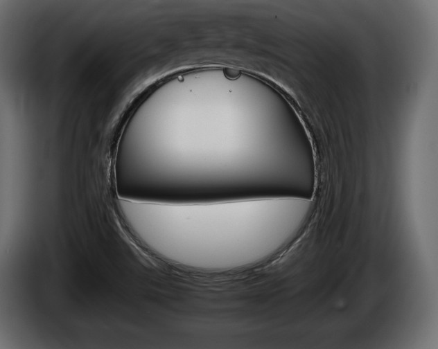 X0000086961507200704161112