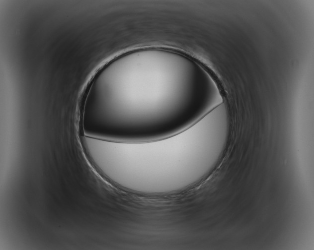 X0000086961508200704161112