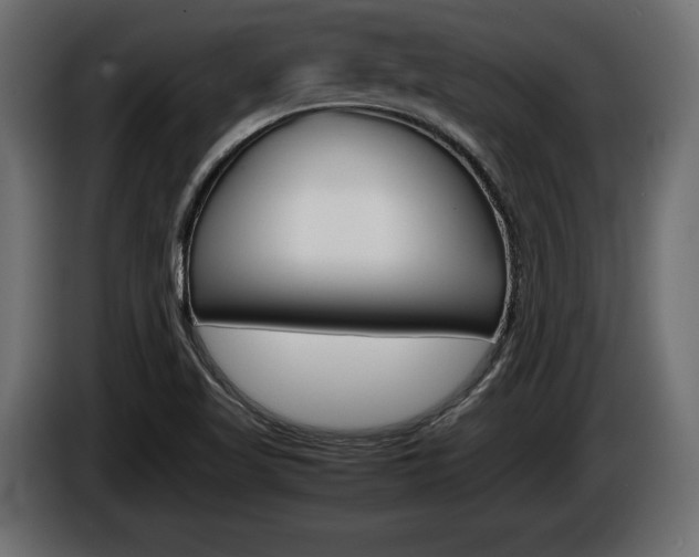X0000086961509200704161112
