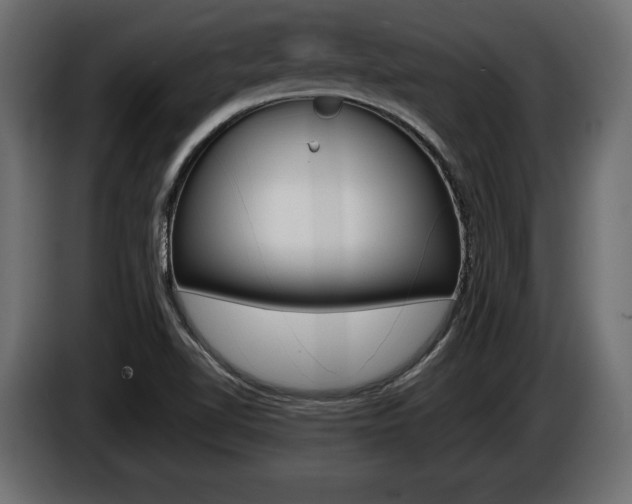 X0000086961510200704161112