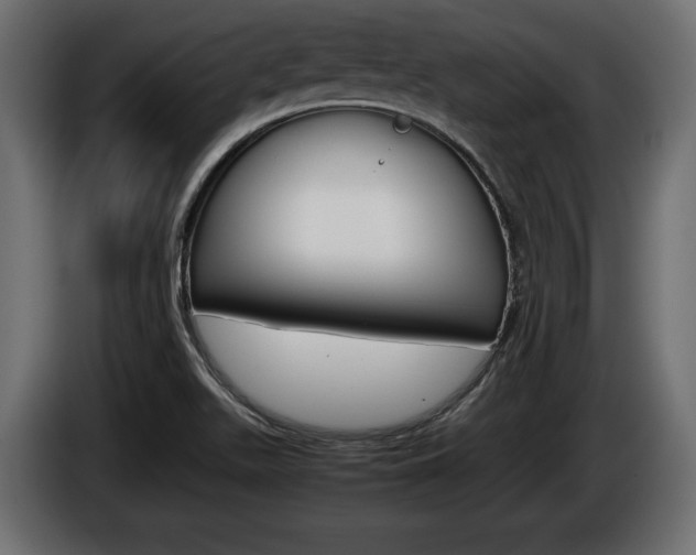 X0000086961511200704161112