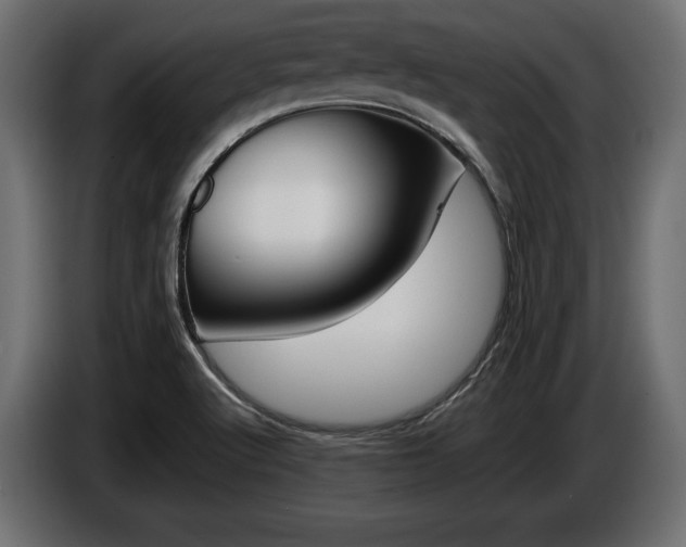 X0000086961512200704161112