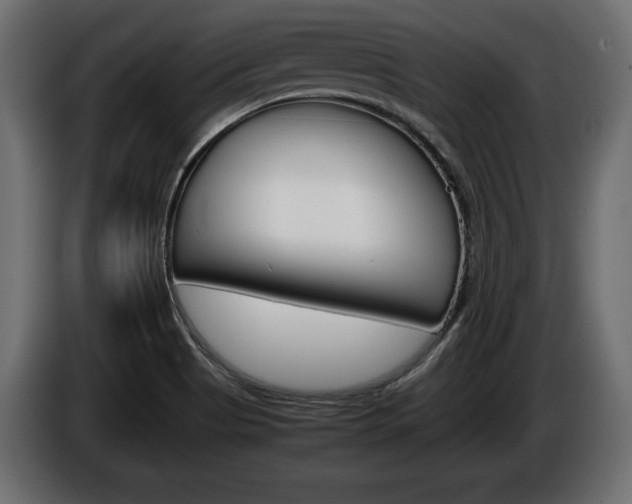 X0000086961513200704161112