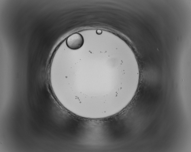 X0000086961514200704161112
