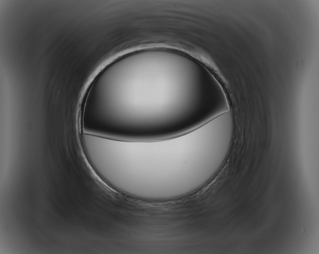 X0000086961516200704161112
