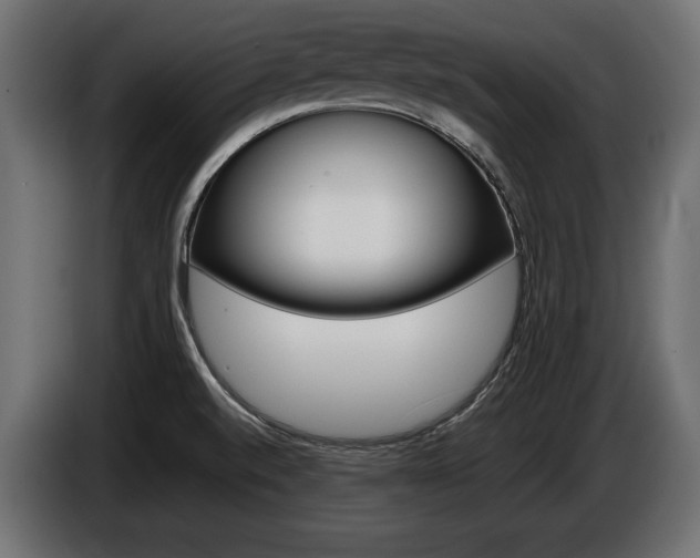 X0000086961520200704161112