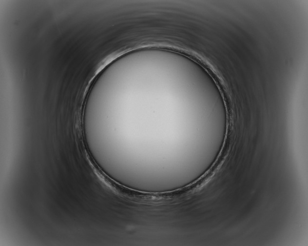 X0000086961521200704161112