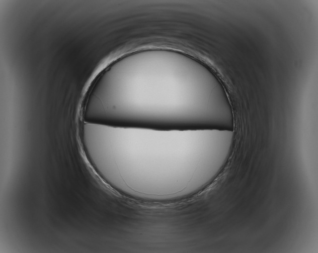 X0000086961522200704161112
