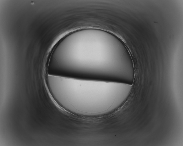 X0000086961523200704161112