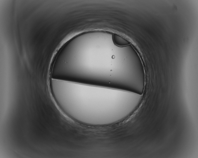 X0000086961525200704161112