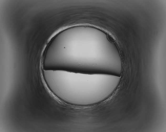 X0000086961526200704161112