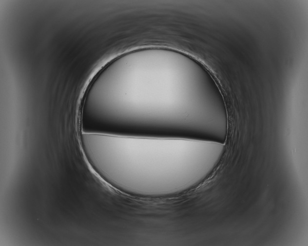 X0000086961527200704161112