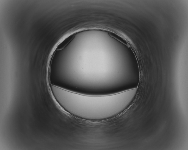 X0000086961528200704161112