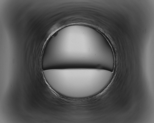 X0000086961529200704161112