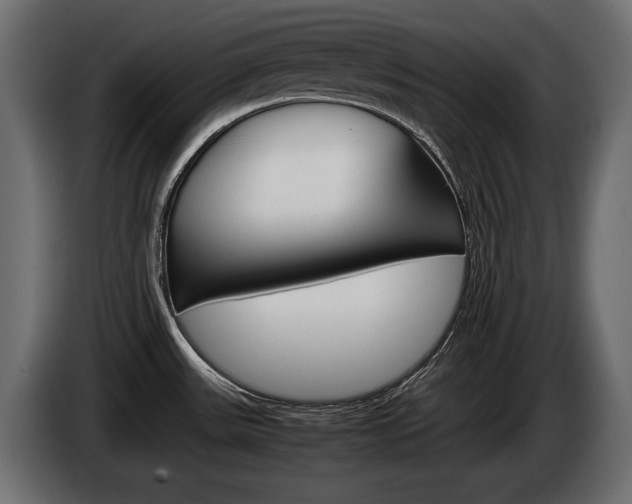 X0000086961531200704161112