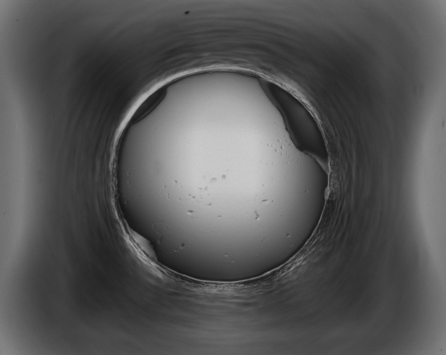X0000086961532200704161112