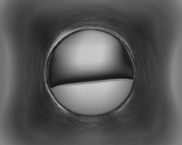 X0000086961533200704161112