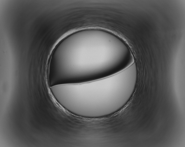 X0000086961534200704161113