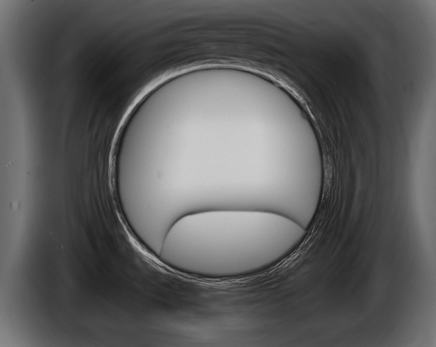 X0000086961535200704161113