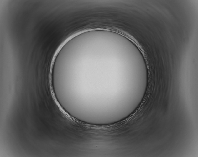 X0000086961536200704161113