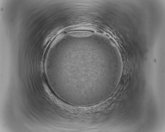 X0000086960002200704161530