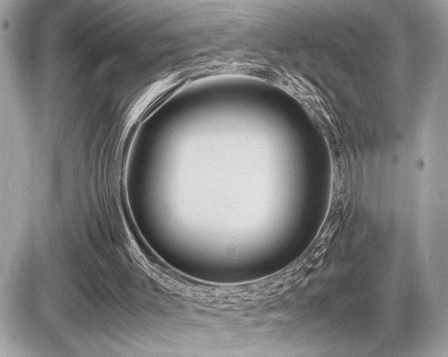 X0000086960003200704161530