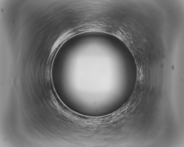X0000086960004200704161530