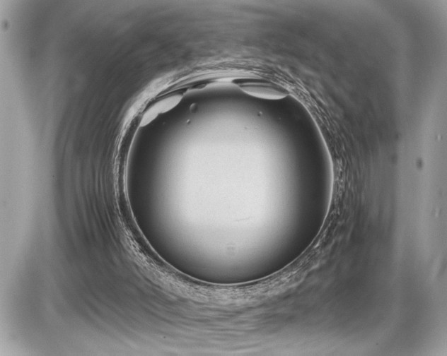 X0000086960006200704161530