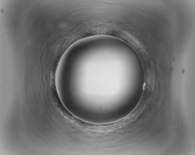 X0000086960025200704161530