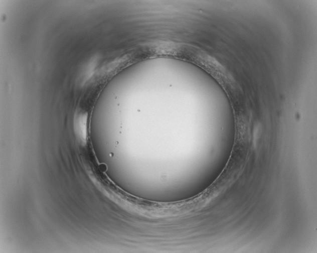 X0000086960028200704161530
