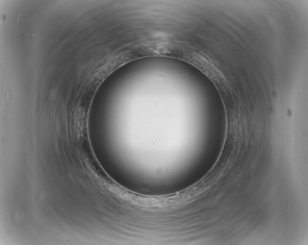 X0000086960030200704161530