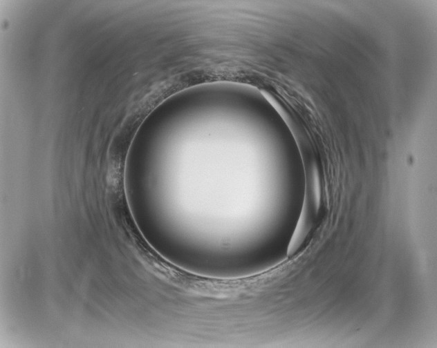X0000086960033200704161530