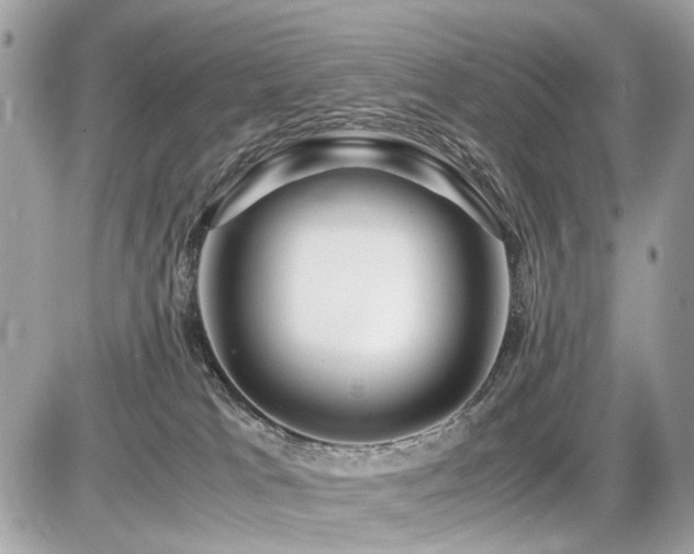 X0000086960037200704161529