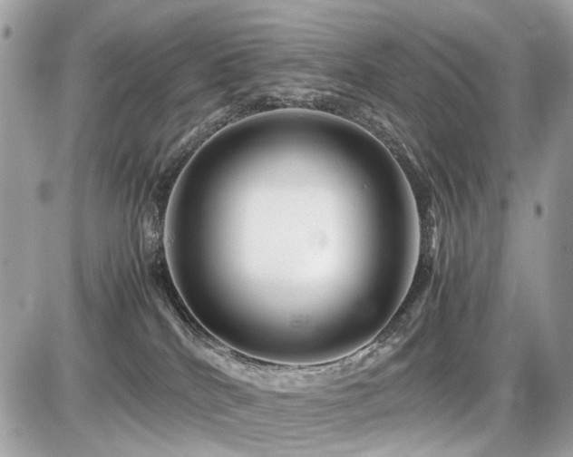 X0000086960040200704161529