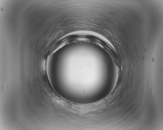 X0000086960041200704161529