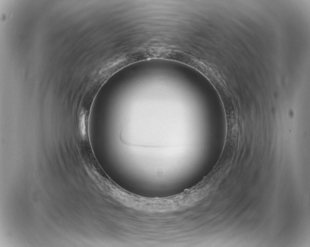X0000086960042200704161529